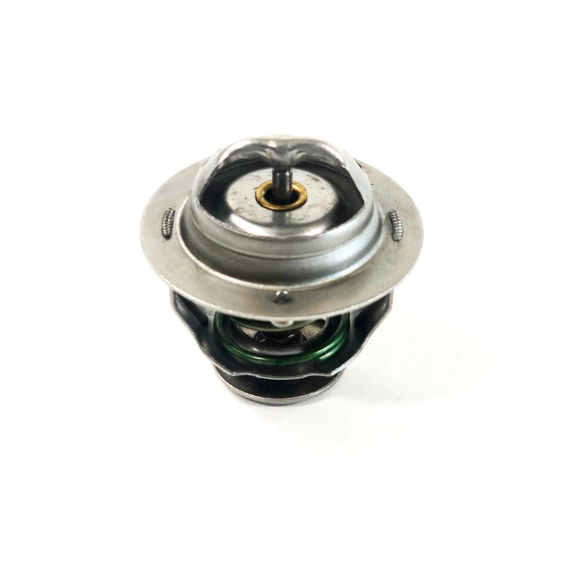 Picture of Thermostat, 160 Degree