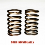 Picture of Outer Valve Spring