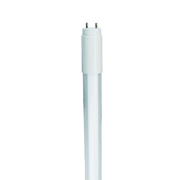 T8