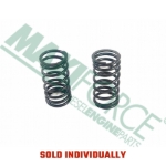 Picture of Inner Valve Spring