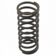 Picture of Valve Spring