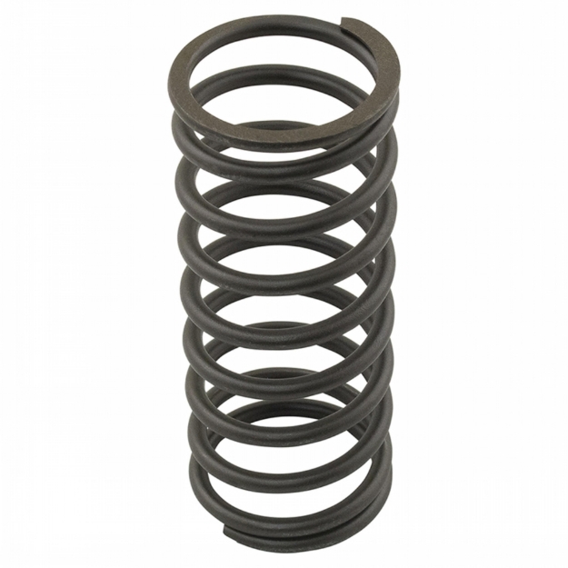 Picture of Valve Spring