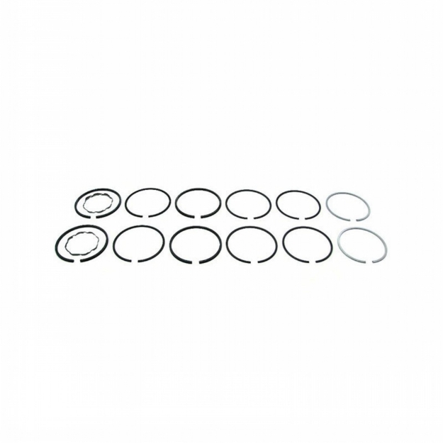 Picture of Piston Ring Set, Standard