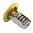 Picture of Thermostat, 195 Degree