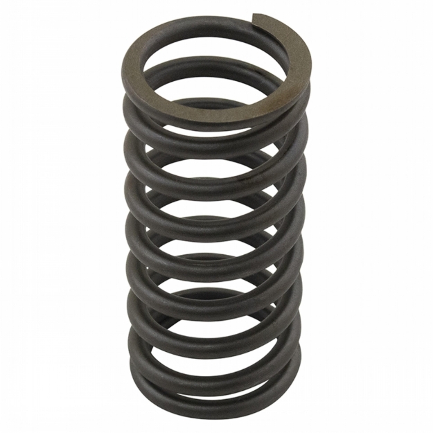 Picture of Valve Spring