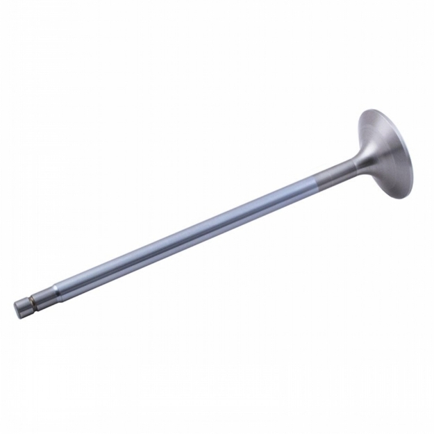 Picture of Intake & Exhaust Valve