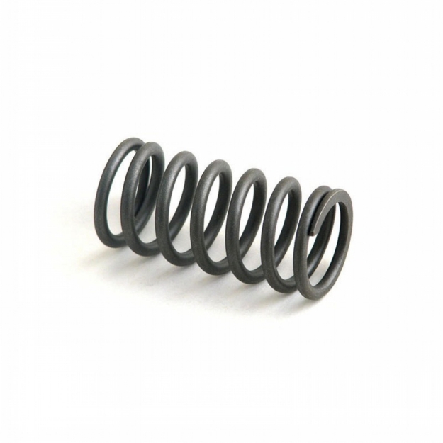 Picture of Inner Valve Spring