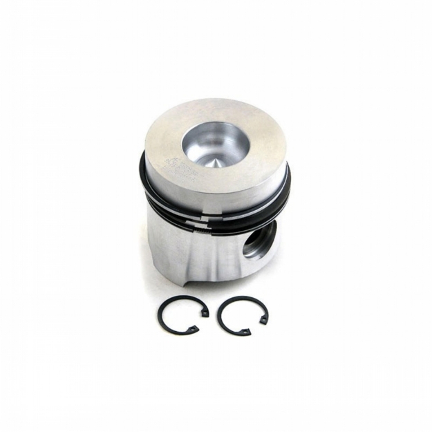 Picture of Piston & Rings, Standard