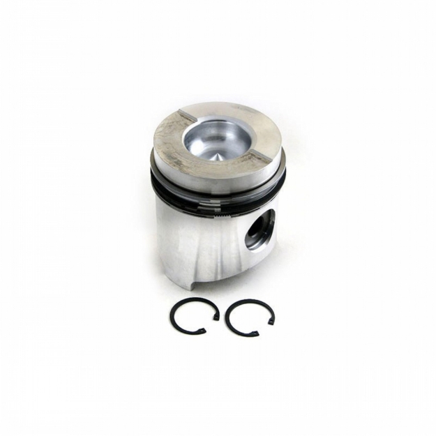 Picture of Piston & Rings, Standard