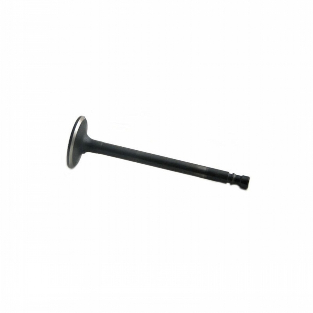 Picture of Intake Valve