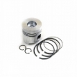 Picture of Piston & Rings, Standard