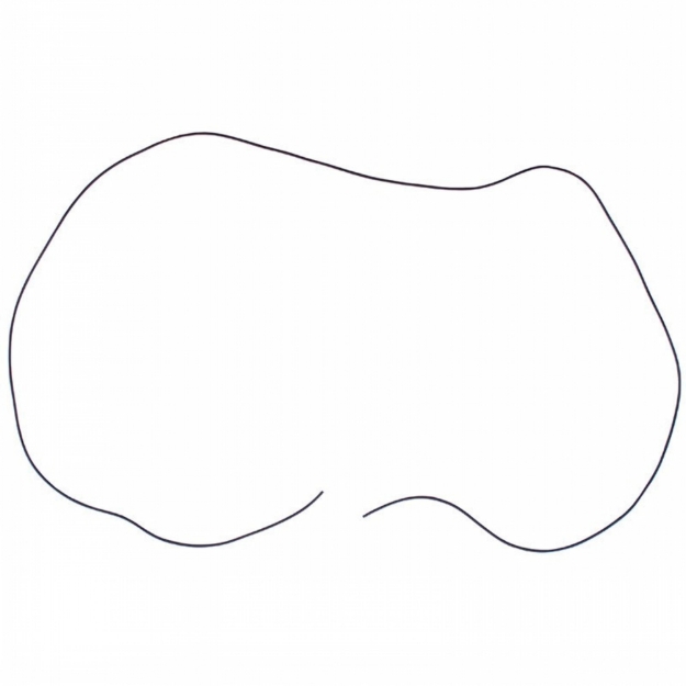 Picture of Oil Pan Gasket