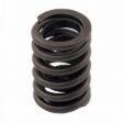 Picture of Valve Spring