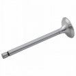 Picture of Intake Valve