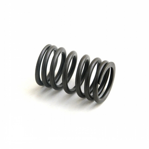 Picture of Exhaust Outer Valve Spring