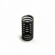 Picture of Outer Valve Spring
