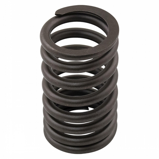 Picture of Intake and Exhaust Valve Spring