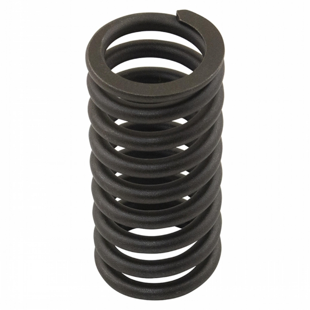 Picture of Valve Spring
