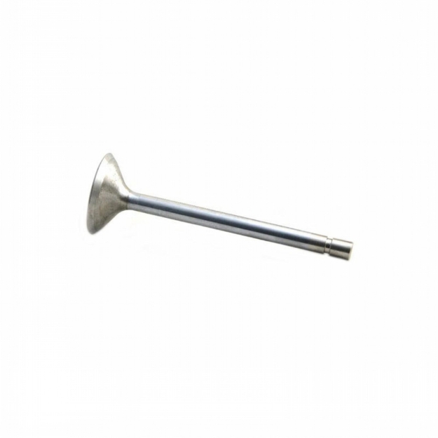 Picture of Intake Valve