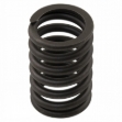 Picture of Valve Spring