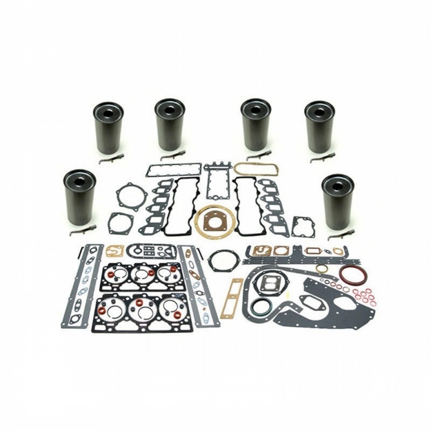 Picture of Cylinder Kits & Gaskets, .005" Oversize Liner