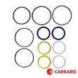 Picture of Carraro Steering Cylinder Seal Kit, MFD