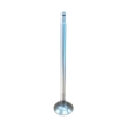 Picture of Intake & Exhaust Valve