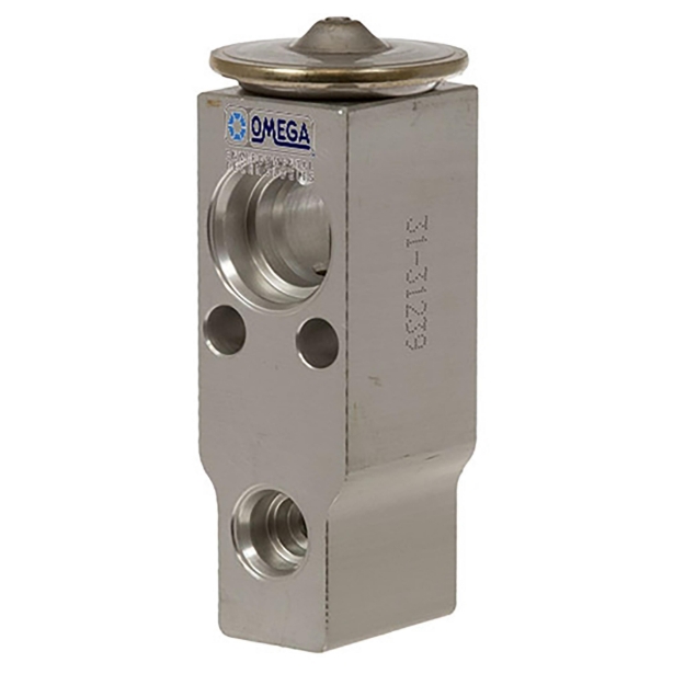 Picture of Expansion Valve, Block