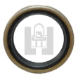 Picture of Seal