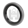 Picture of Seal, CR 13548