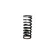 Picture of Valve Spring