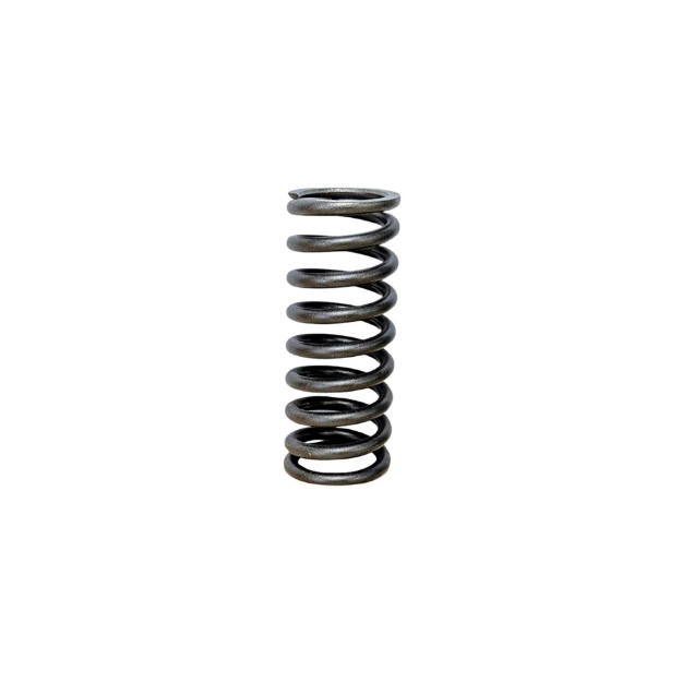 Picture of Valve Spring